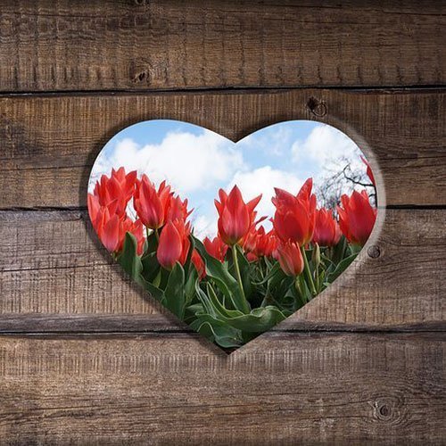  عکس باغ پر از گل برای پروفایل