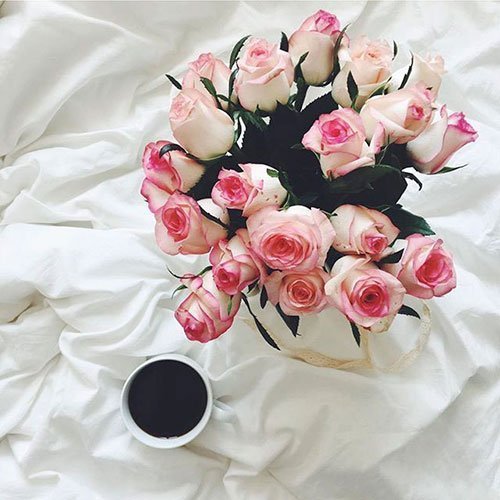  عکس باغ پر از گل برای پروفایل