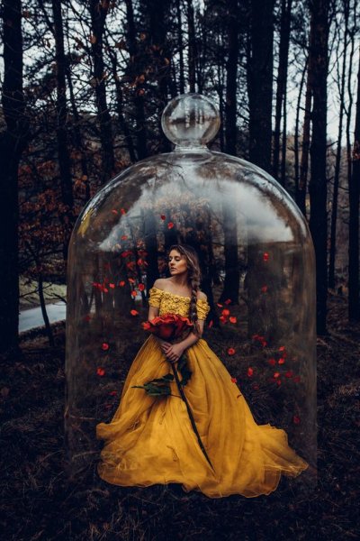 عکس گل برای پروفایل تلگرام
