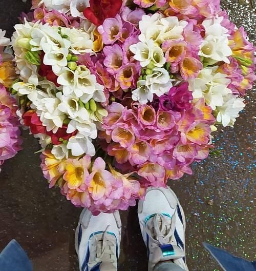 عکس گل برای پروفایل تلگرام