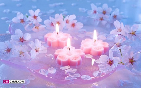  عکس شمع و گل عاشقانه