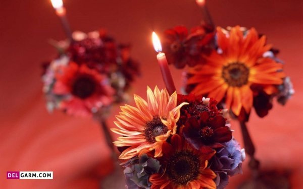  عکس شمع و گل عاشقانه