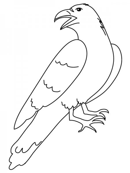  عکس کلاغ نقاشی