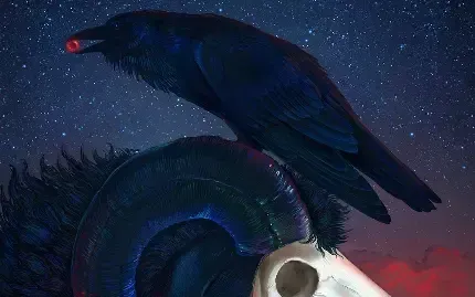  عکس کلاغ سیاه برای بک گراند