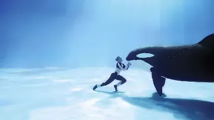  عکس وال و نهنگ