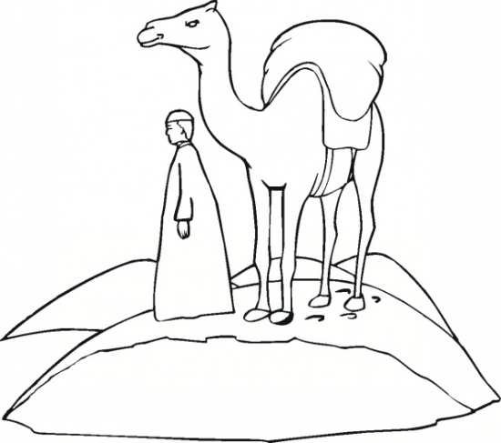  عکس شتر نقاشی