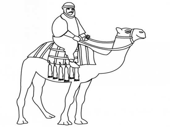  عکس شتر نقاشی