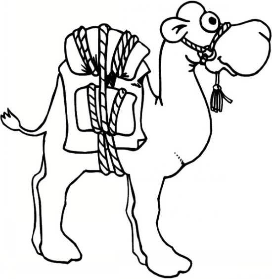  عکس شتر نقاشی