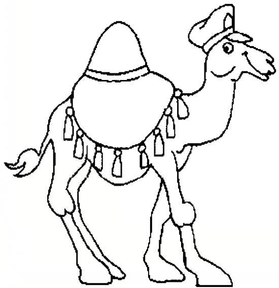  عکس شتر نقاشی