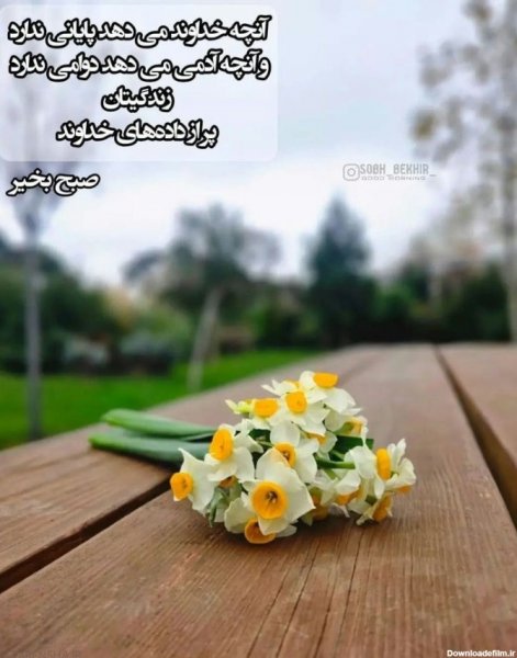  تصویر انگیزشی صبح