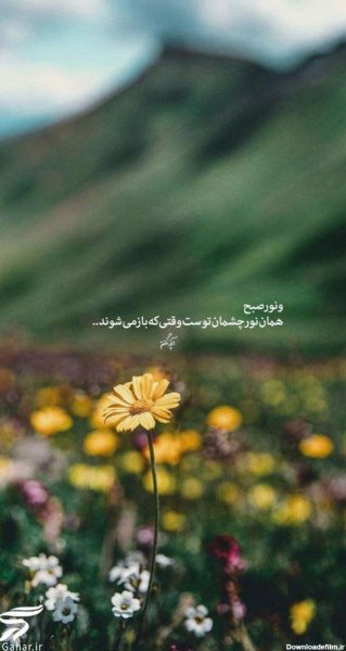  تصویر انگیزشی صبح