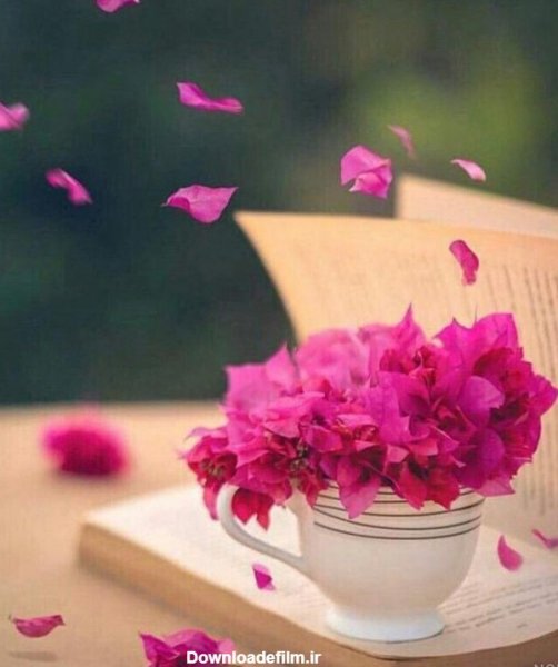  تصویر انگیزشی صبح