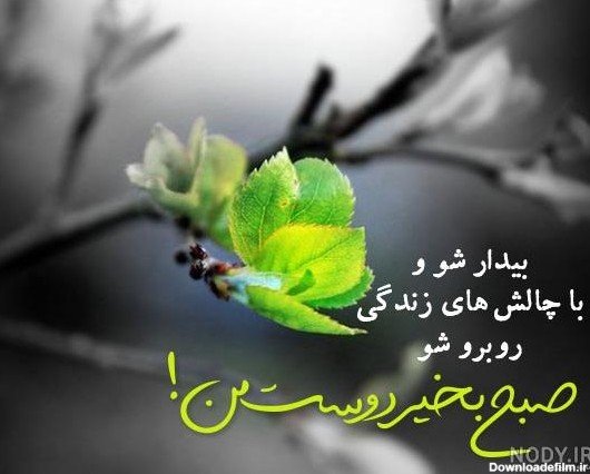  تصویر انگیزشی صبح