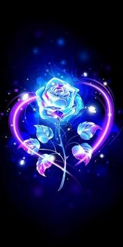  تصاویر زیبای گل برای پس زمینه موبایل