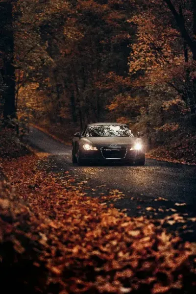  تصویر زمینه موبایل باکلاس اپل