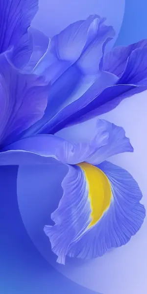  عکس پس زمینه موبایل شیائومی