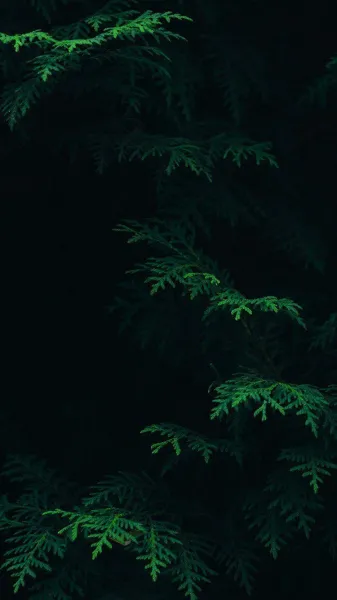  عکس طبیعت برای گوشی سامسونگ