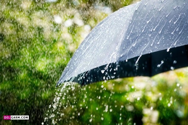  تصویر زیبا از طبیعت بارانی
