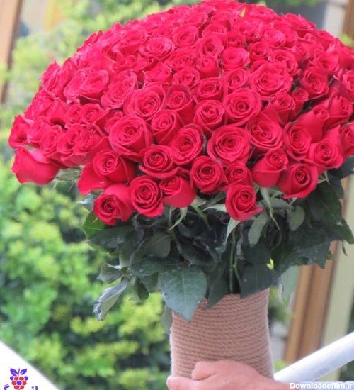  عکس دسته گل عاشقانه
