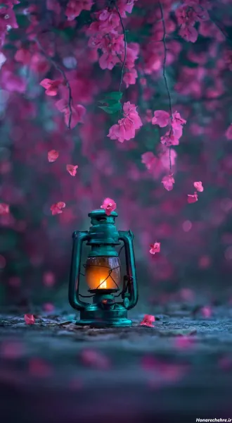  عکس سه بعدی گل