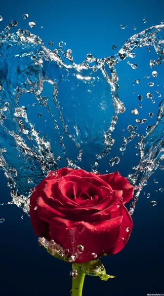  عکس گل سه بعدی برای پروفایل