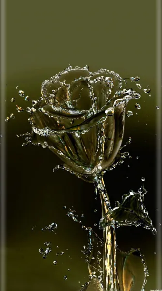  عکس گل سه بعدی برای پروفایل