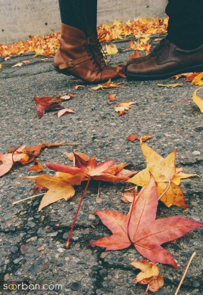  دانلود عکس عاشقانه پاییزی با کیفیت