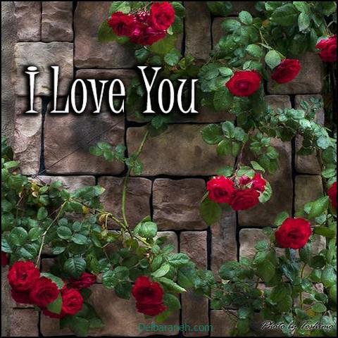  عکس های لاولی و عاشقانه