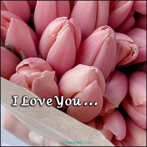  عکس های لاولی و عاشقانه