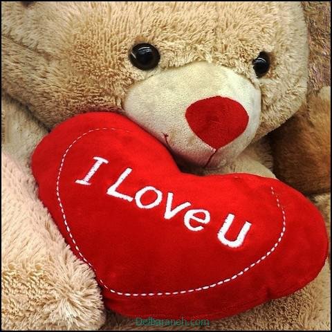  عکس های لاولی و عاشقانه