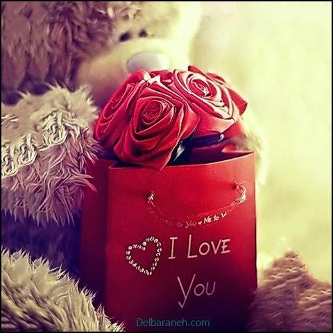  عکس های لاولی و عاشقانه