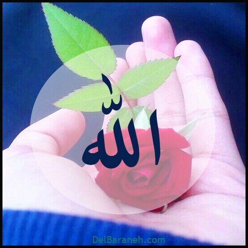  عکس الله جدید
