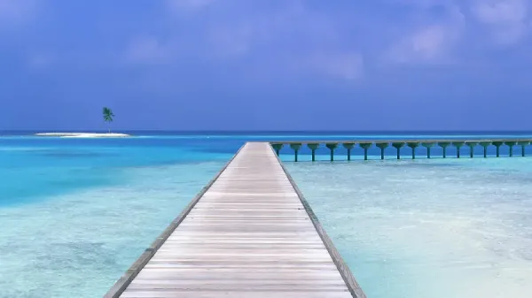  دانلود عکس با کیفیت