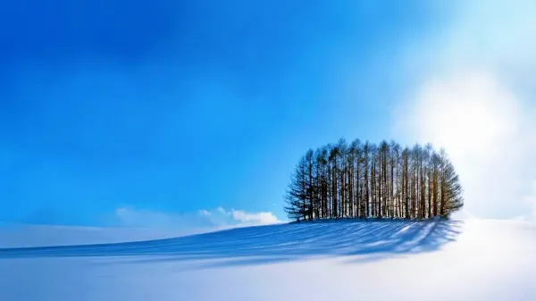  دانلود مجموعه والپیپر 4k برای کامپیوتر
