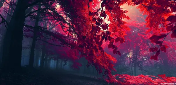  دانلود عکس برای کامپیوتر