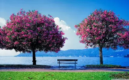 دانلود والپیپر برای کامپیوتر full hd