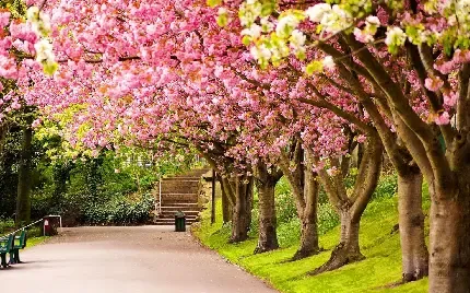  دانلود والپیپر برای کامپیوتر full hd