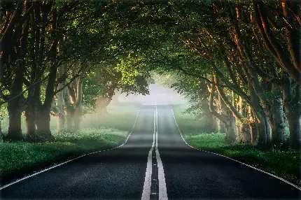  دانلود والپیپر برای کامپیوتر full hd