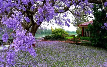  دانلود والپیپر برای کامپیوتر full hd