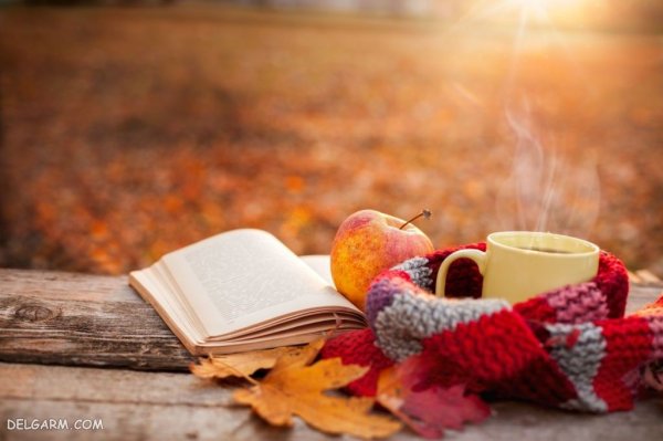 زیباترین عکس پاییزی دنیا