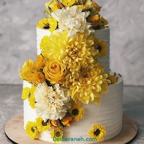 عکس کیک عروس و داماد