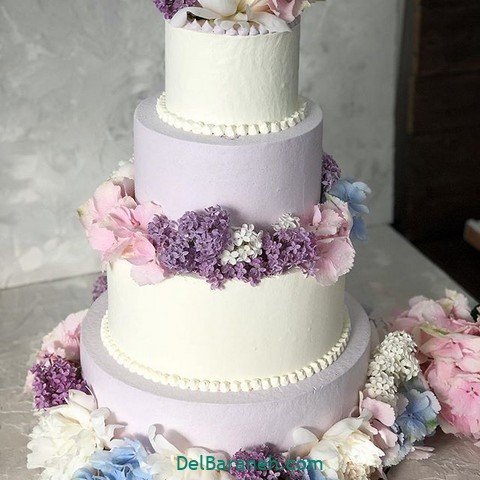 عکس کیک عروس و داماد