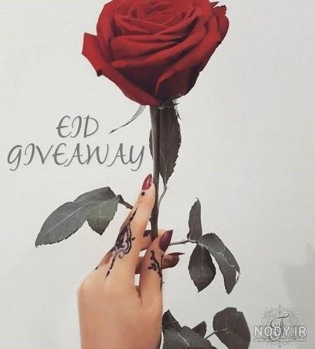  عکس دسته گل رز قرمز عاشقانه