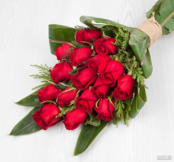  عکس گل طبیعی برای سالگرد ازدواج