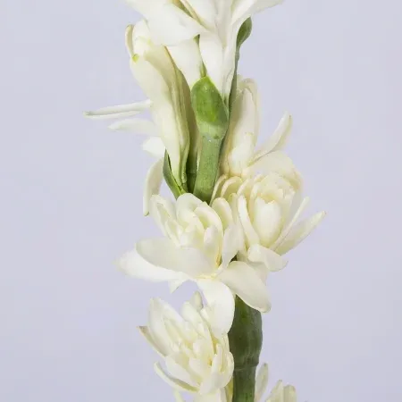  عکس گل برای سالگرد ازدواج
