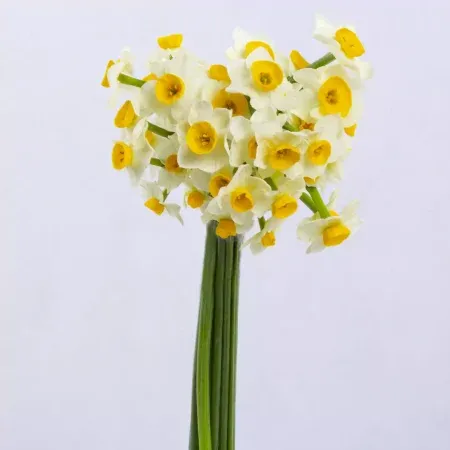  عکس گل برای سالگرد ازدواج