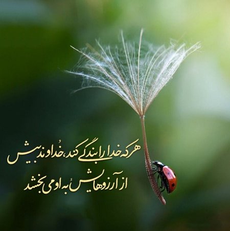  عکس نوشته شاد برای پروفایل