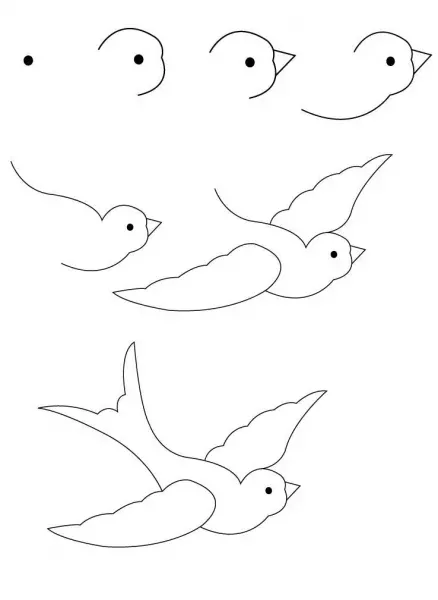  عکس پرستو برای نقاشی