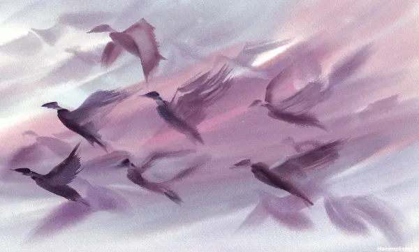  عکس پرستو برای نقاشی