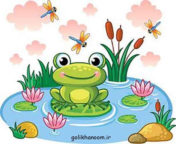  عکس قورباغه فانتزی